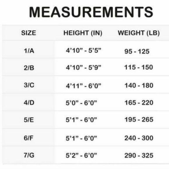 SPANX ASSETS High Falutin Footless Tights - Picture 4 of 4